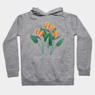 Bird of paradise Hoodie